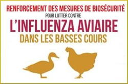 Influenza aviaire: consignes de biosécurité