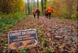 Calendrier des jours de chasse en forêt communale de Longchamp-sur-Aujon