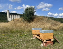 De nouvelles ruches à Longchamp-sur-Aujon