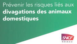 SNCF : risques liés  aux divagations des animaux domestiques et d’élevage